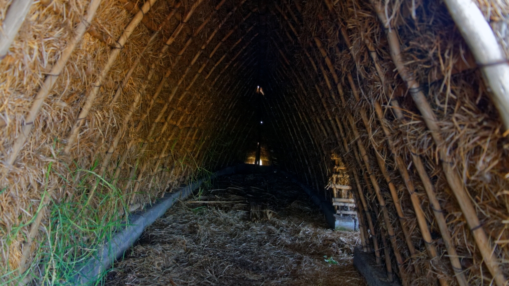 20 - Ile De Pâques (36).jpg